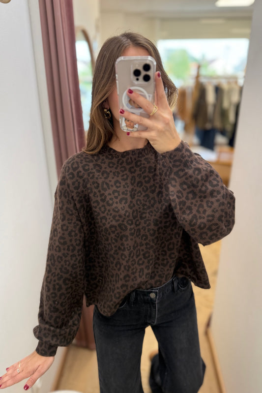 Pull Garry chocolat